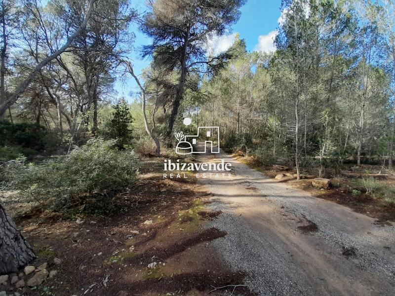 Country House for sale