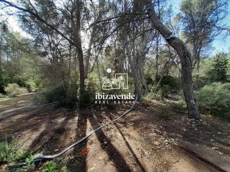 Country House for sale