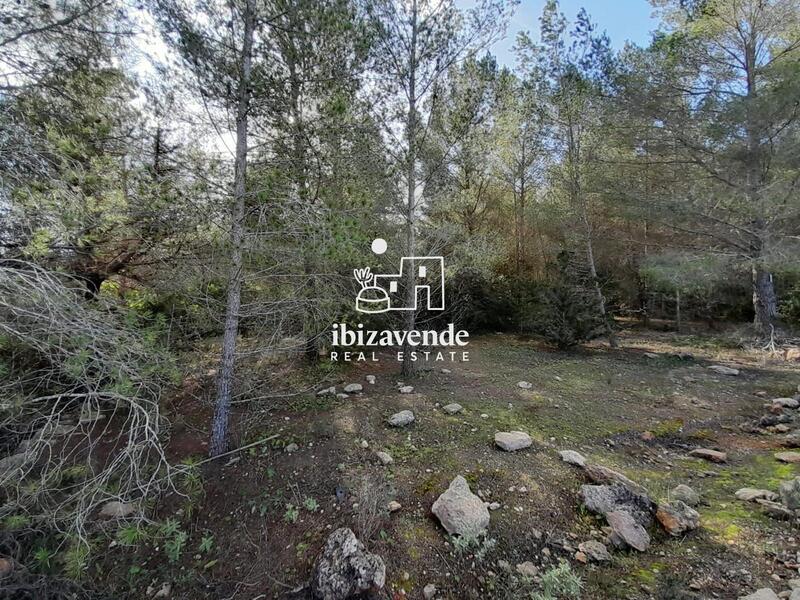 Country House for sale