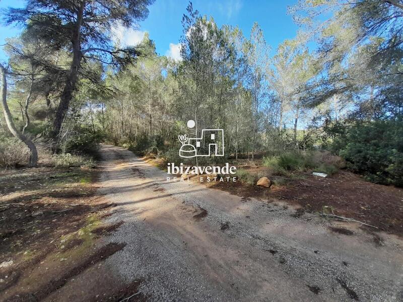 Country House for sale