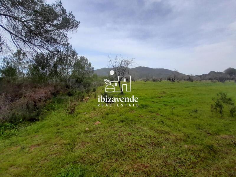 Country House for sale in Sant Joan de Labritja, Ibiza