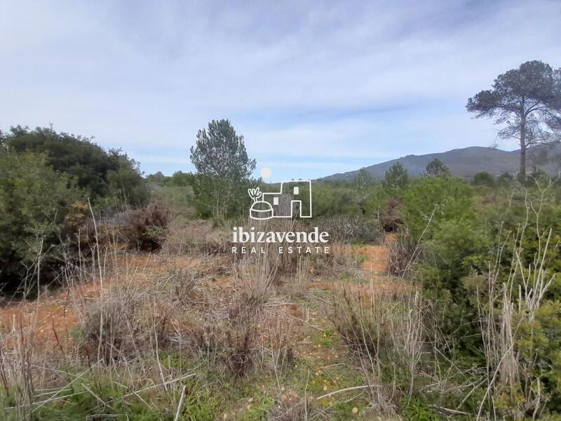 Country House for sale