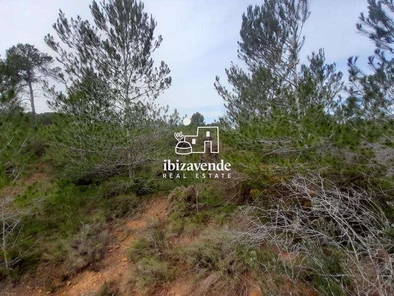 Country House for sale