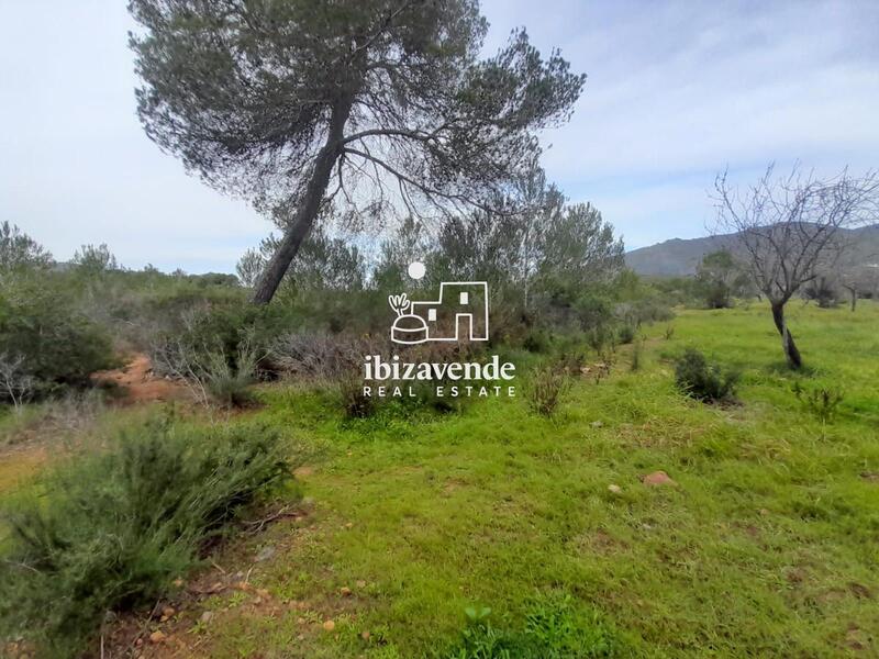 Country House for sale