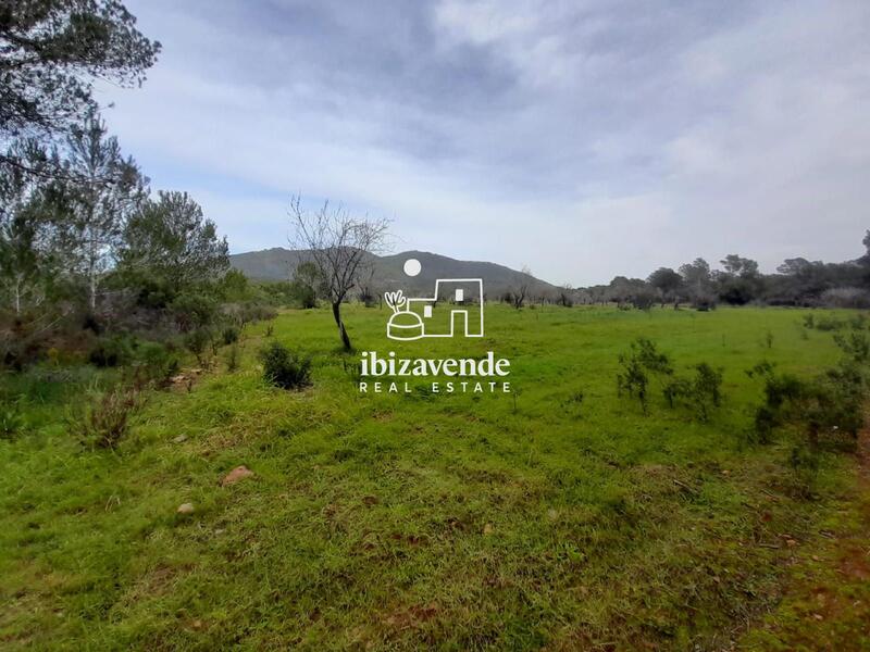 Country House for sale