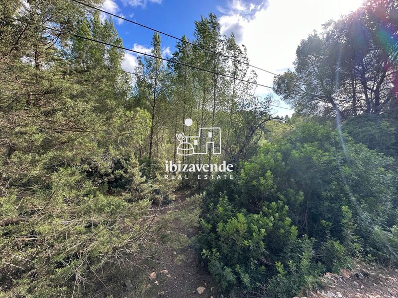 Casa de Campo en venta