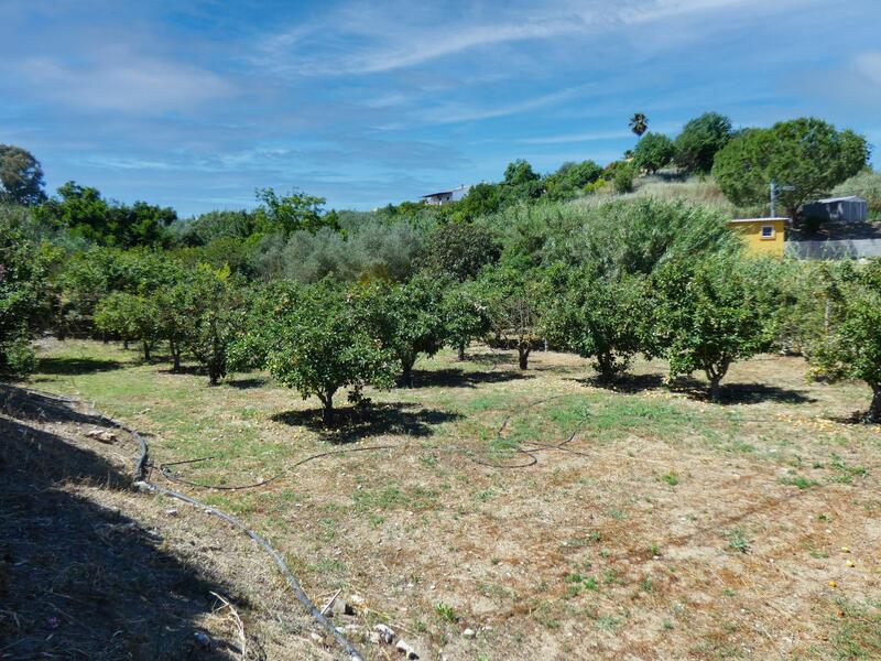 3 Cuarto Casa de Campo en venta