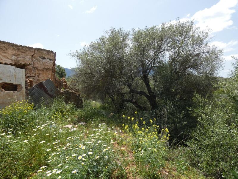 Auberge à vendre