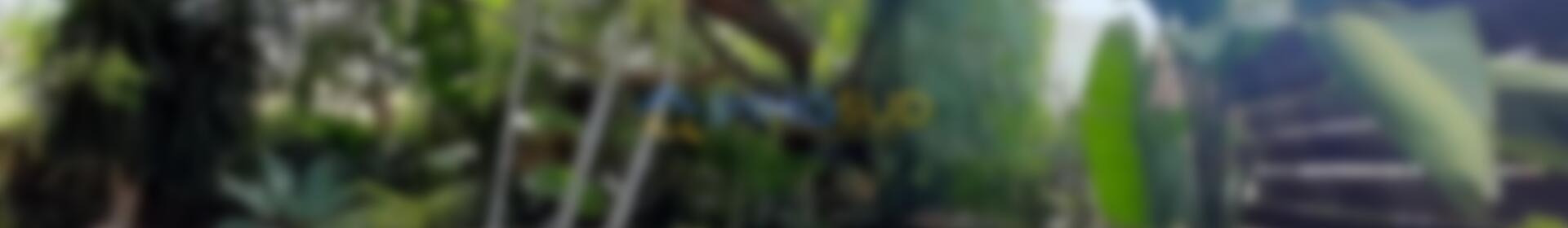 2 Schlafzimmer Landhaus zu verkaufen