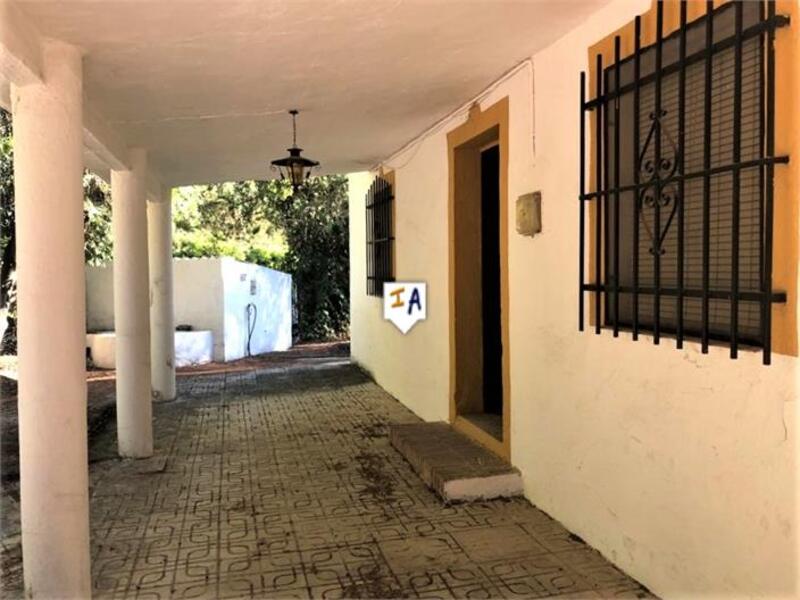 3 Cuarto Casa de Campo en venta