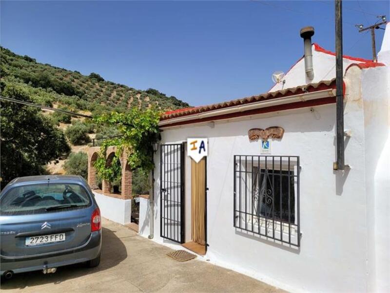 Landhaus zu verkaufen in Iznajar, Córdoba