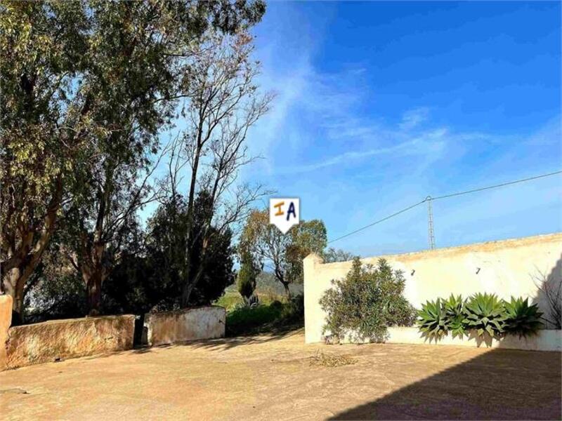 6 Cuarto Casa de Campo en venta