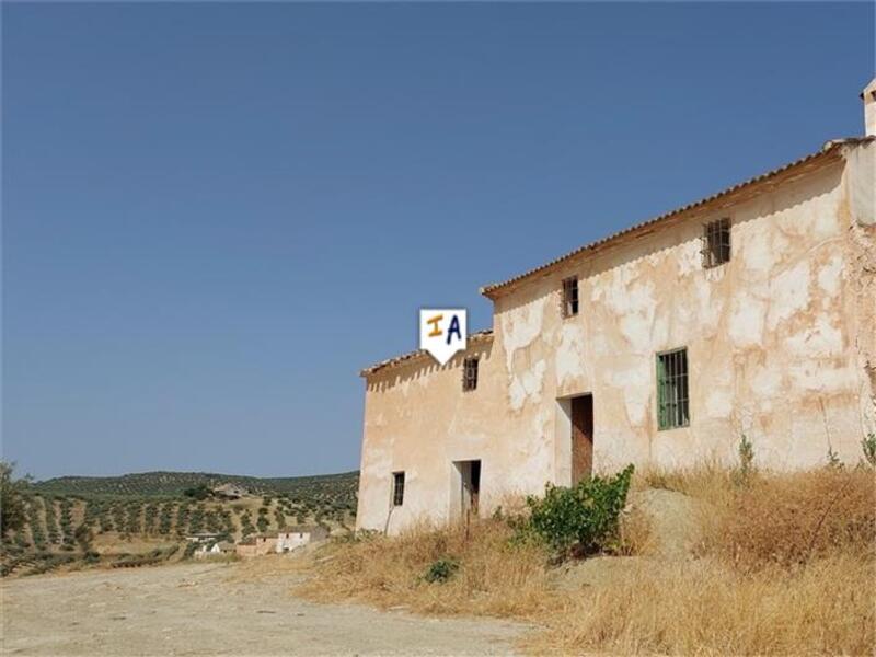 Lantställe till salu i Fuente Tojar, Córdoba