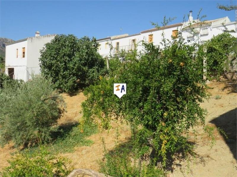 3 chambre Maison de Ville à vendre