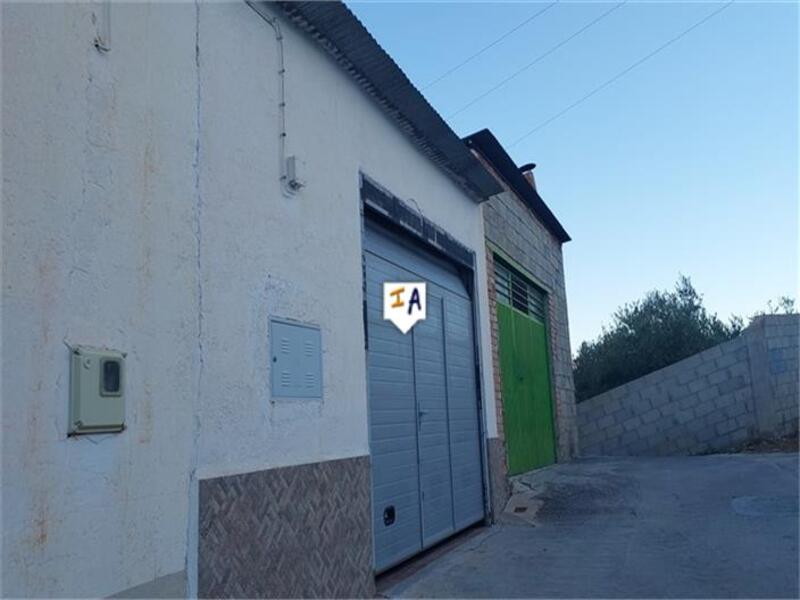 Commercial Property for sale in Castillo de Locubin, Jaén