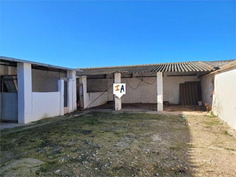 2 Cuarto Casa de Campo en venta