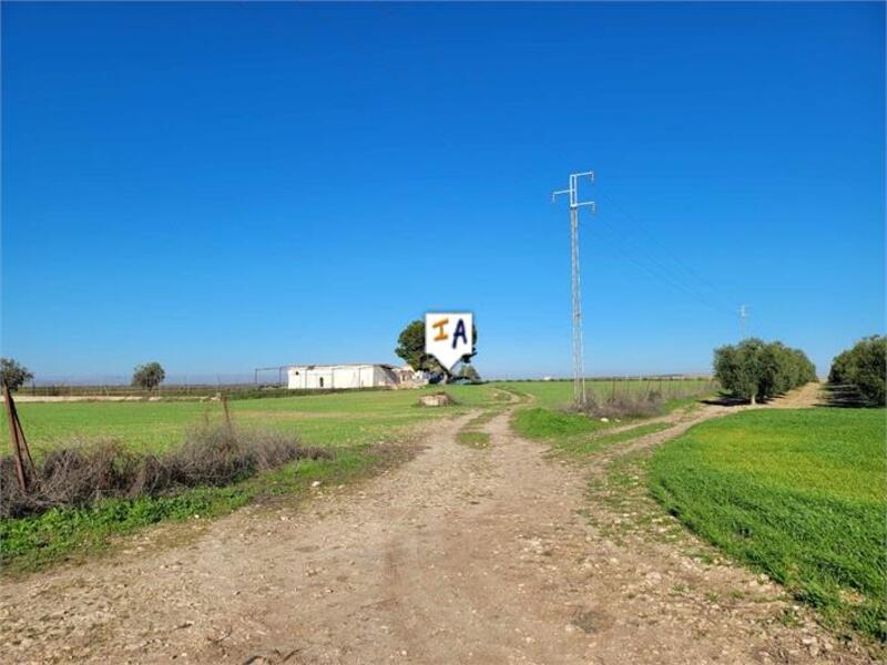 2 Cuarto Casa de Campo en venta