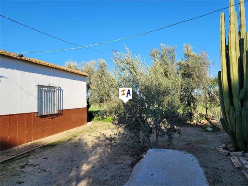 2 Cuarto Casa de Campo en venta