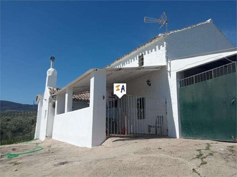 3 Cuarto Casa de Campo en venta