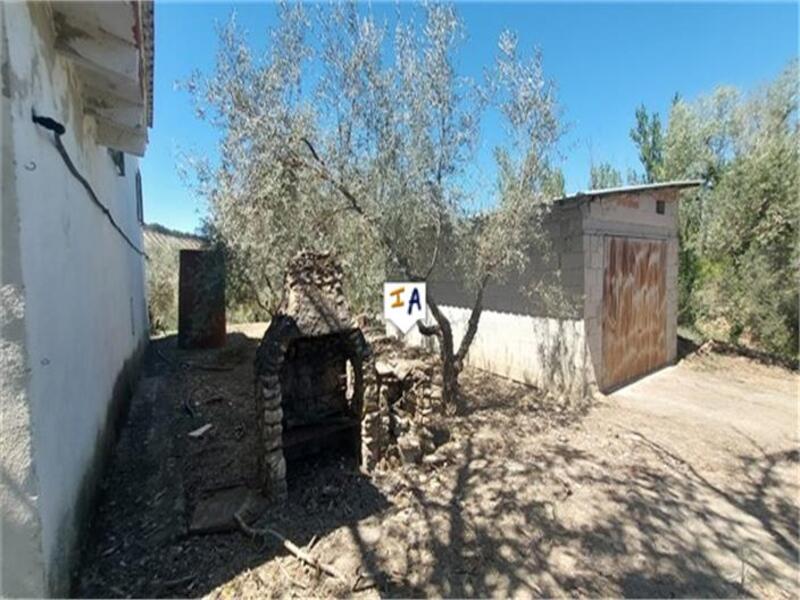 3 Cuarto Casa de Campo en venta