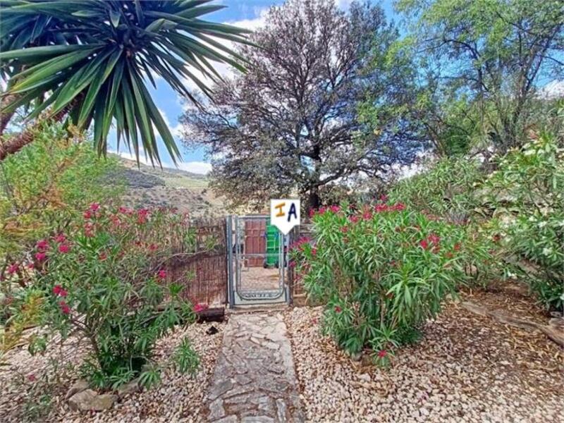 6 Cuarto Casa de Campo en venta