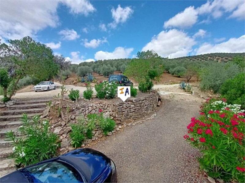6 Cuarto Casa de Campo en venta