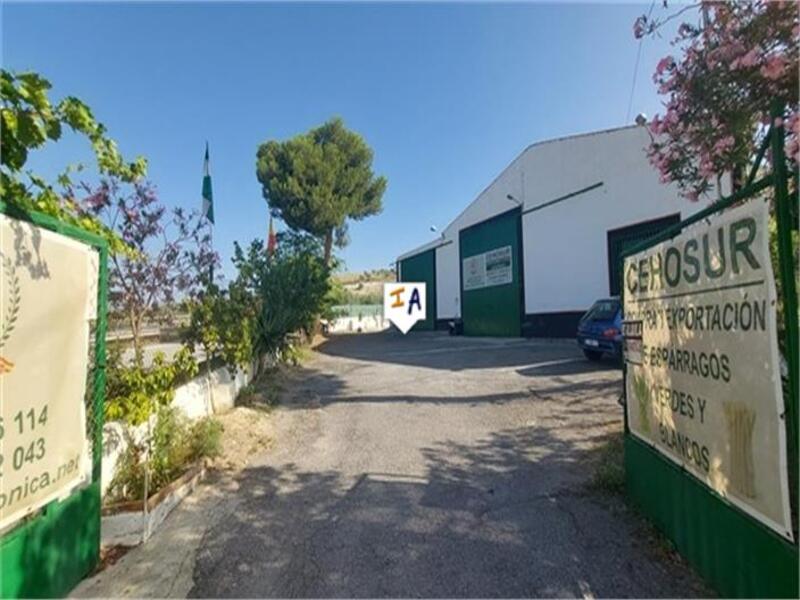 Commercial Property for sale in Puerto Lope, Granada
