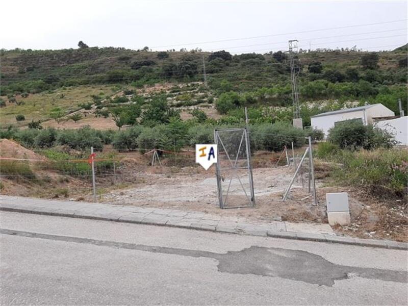 Land for sale