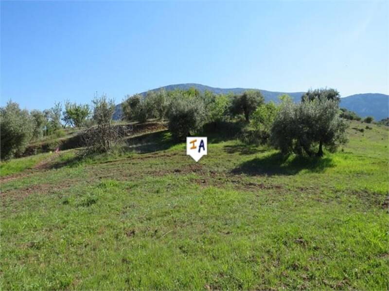 Terrenos en venta en Las Casillas de Martos, Jaén