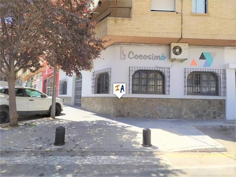 Коммерческая недвижимость продается в Loja, Granada