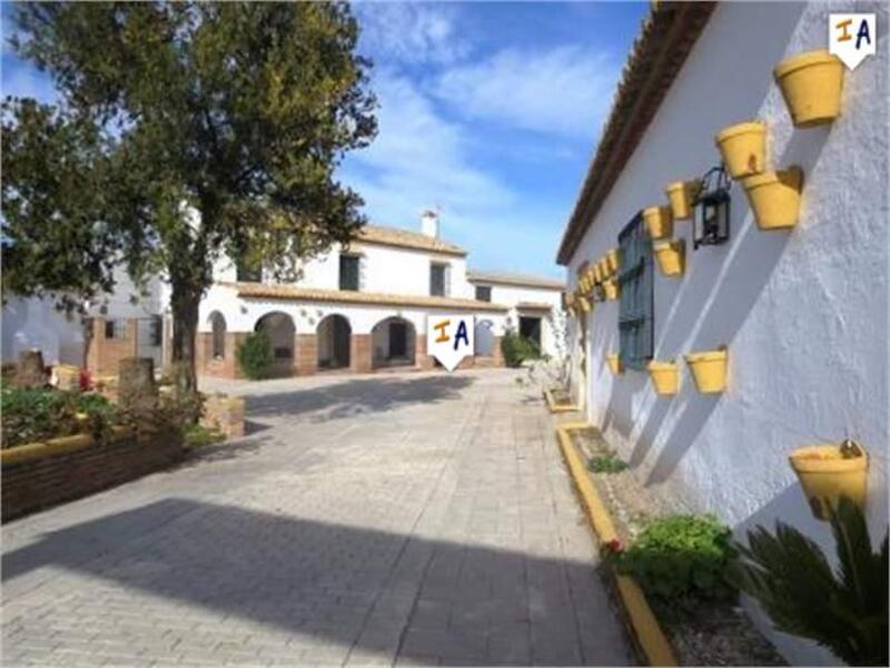 5 Cuarto Casa de Campo en venta