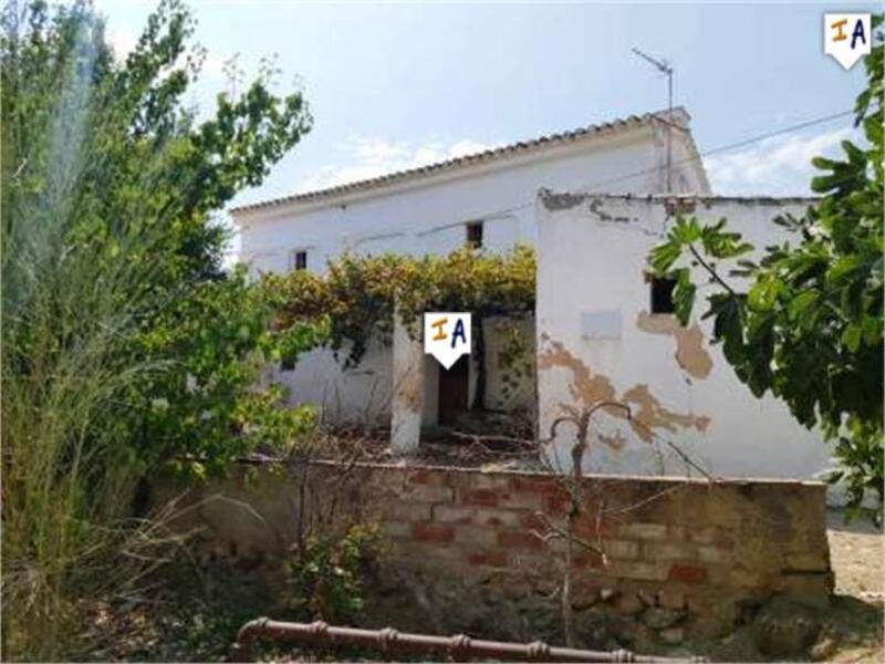 Country House for sale in Loja, Granada