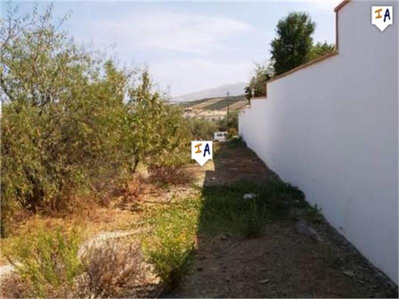 5 chambre Auberge à vendre
