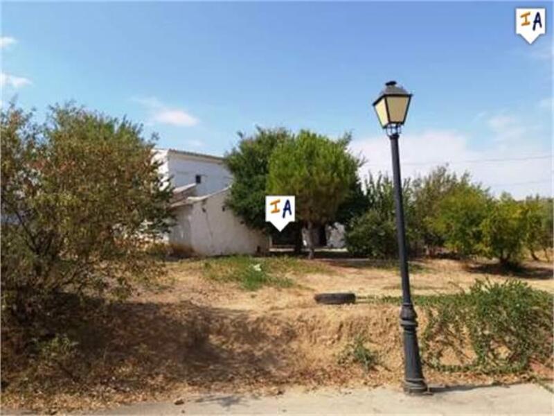 5 chambre Auberge à vendre