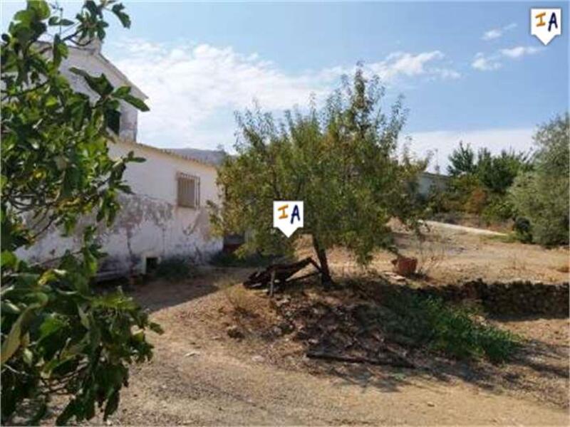 5 chambre Auberge à vendre