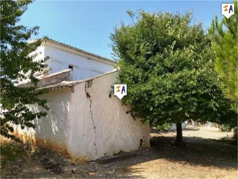 5 chambre Auberge à vendre