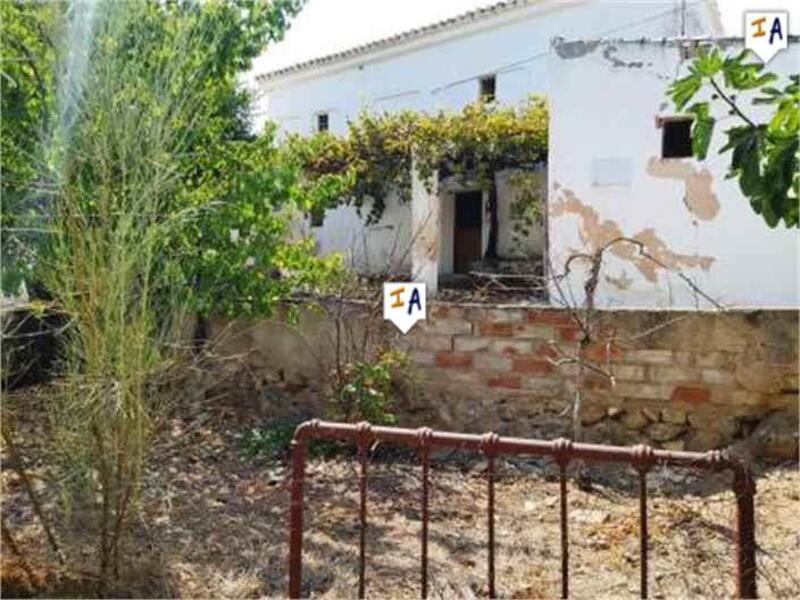 5 chambre Auberge à vendre