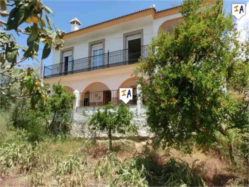 5 Cuarto Villa en venta