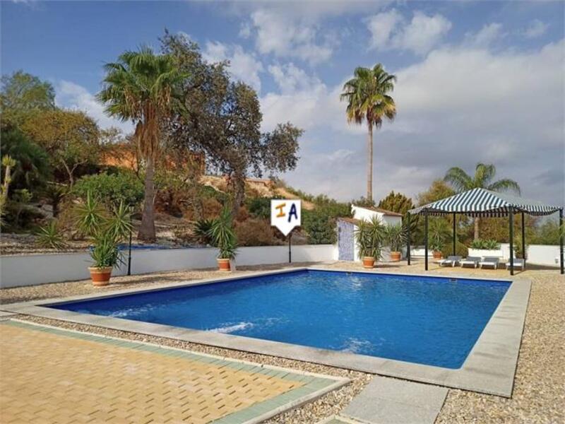 5 Cuarto Villa en venta