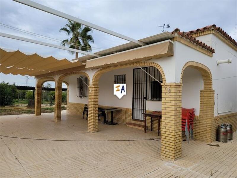 3 Cuarto Casa de Campo en venta