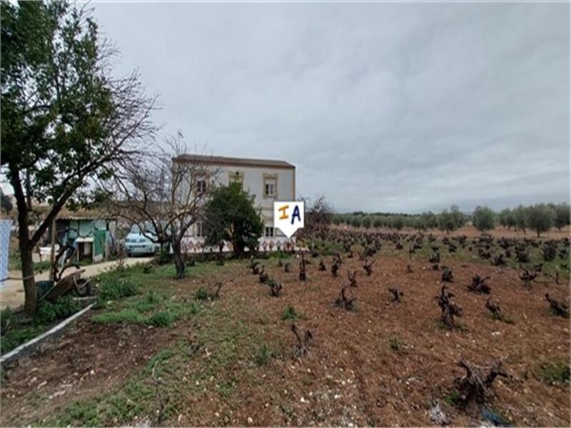 Landhaus zu verkaufen in Monturque, Córdoba