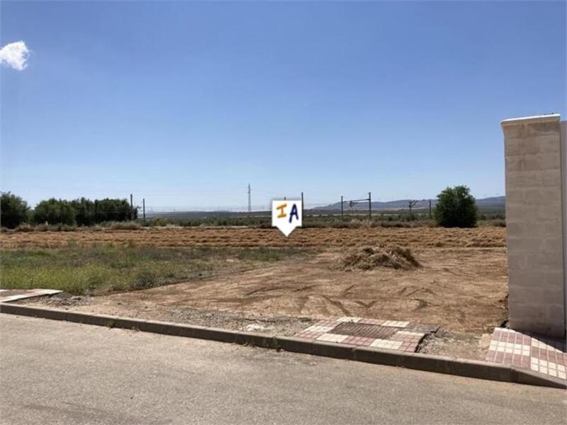 Land for sale