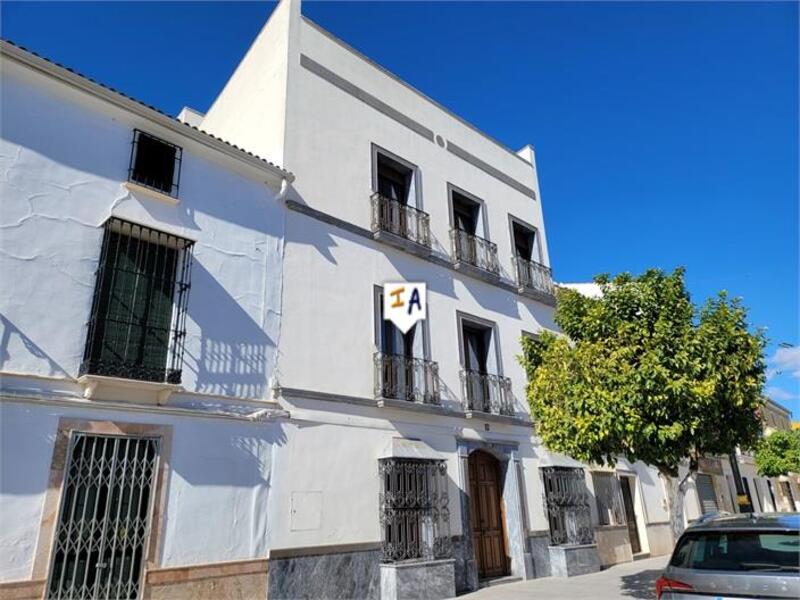 Maison de Ville à vendre dans Badolatosa, Sevilla