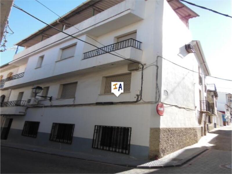 Maison de Ville à vendre dans Loja, Granada