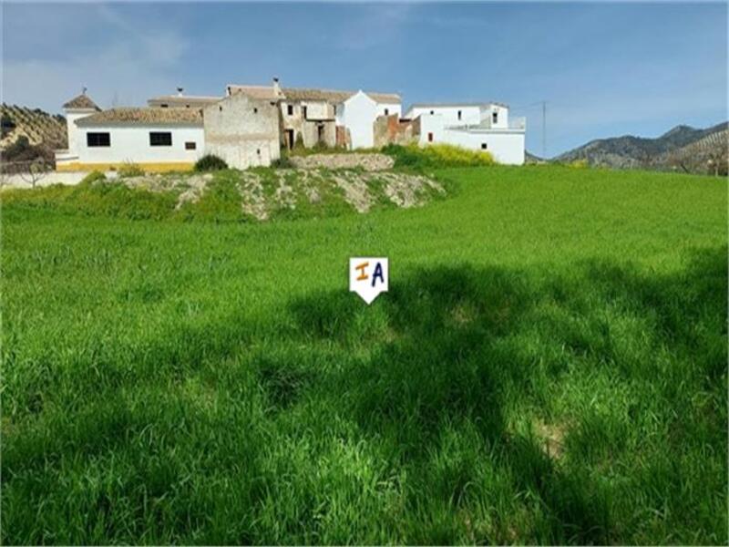 Lantställe till salu i Algarinejo, Granada
