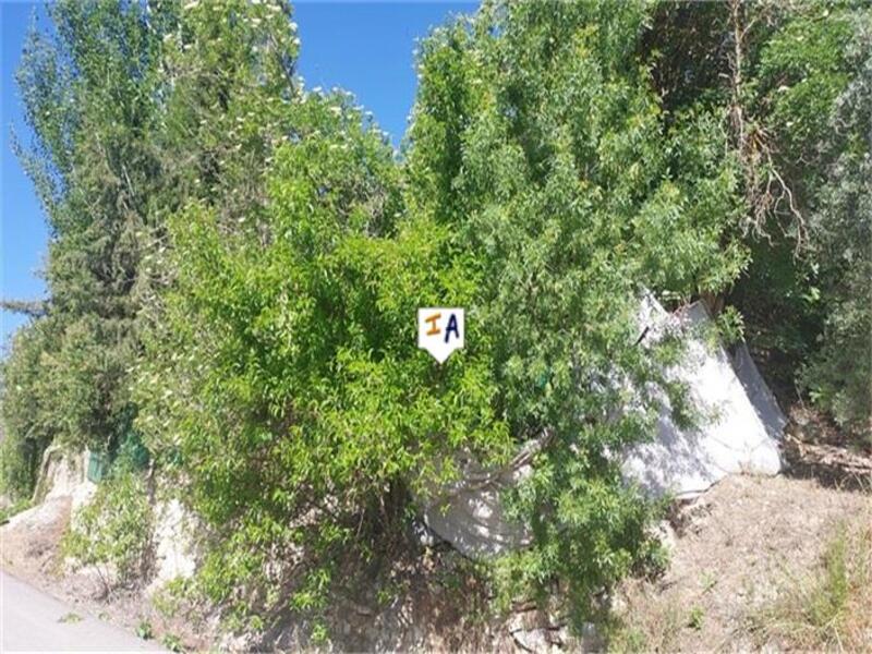 Country House for sale
