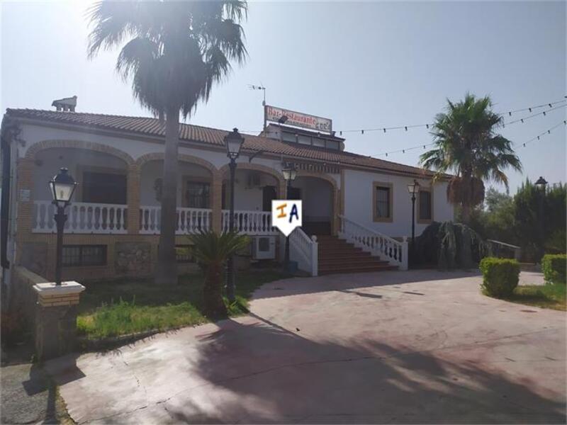 Commercial Property for sale in Herrera, Sevilla