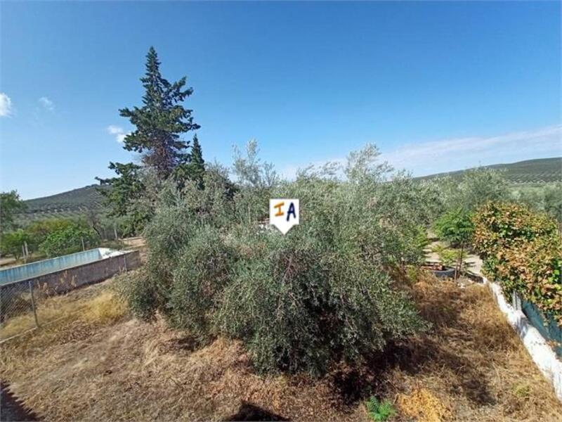 2 chambre Auberge à vendre