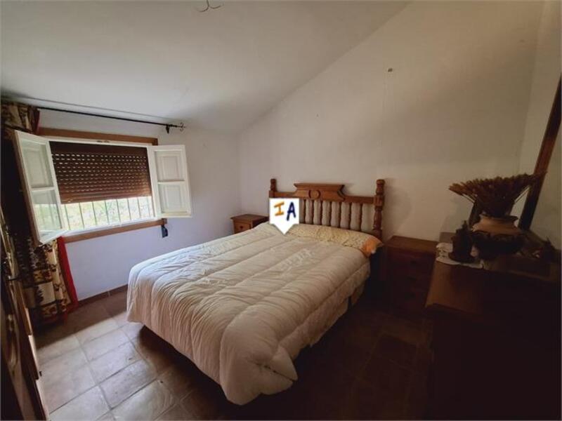 4 chambre Auberge à vendre