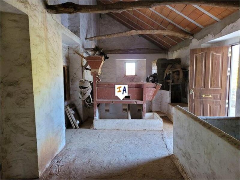 3 chambre Auberge à vendre